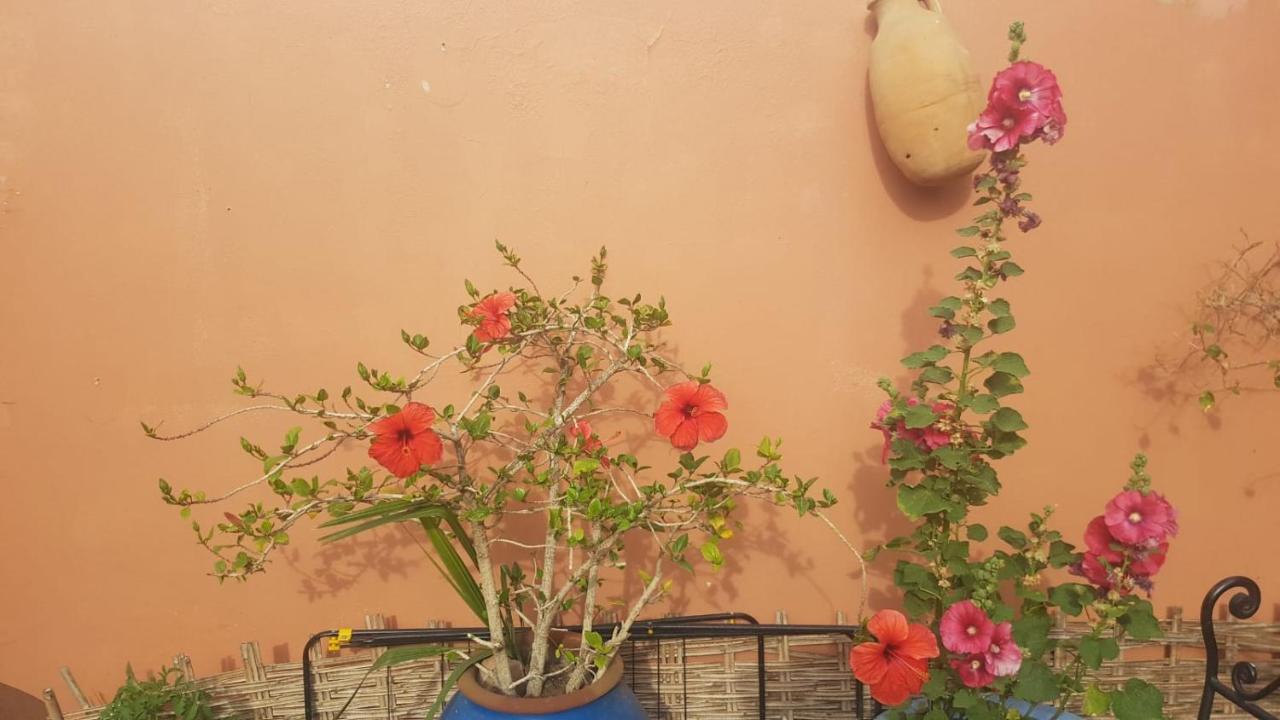 Chambres D'Hotes Les Amis Taroudant Exterior photo